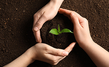 Crop nutrition