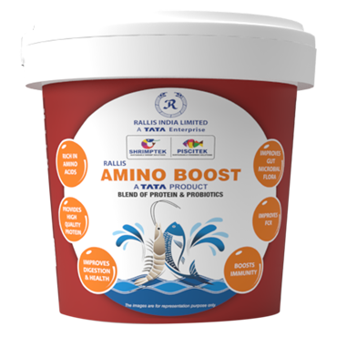 Amino Boost