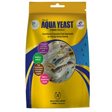 Aqua Yeast