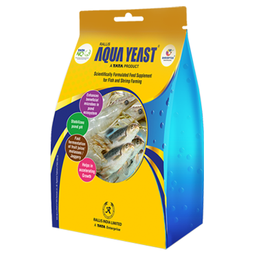 Aqua Yeast