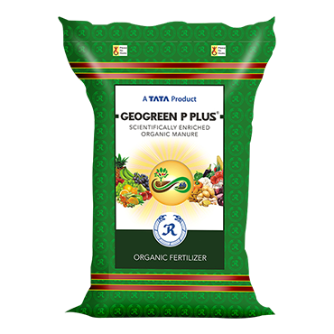 GeoGreen P Plus