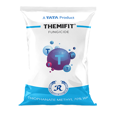 Themifit