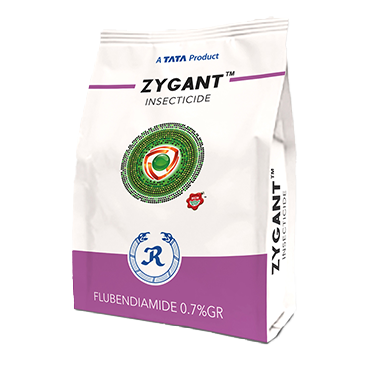 Zygant