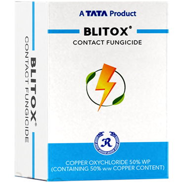 Blitox