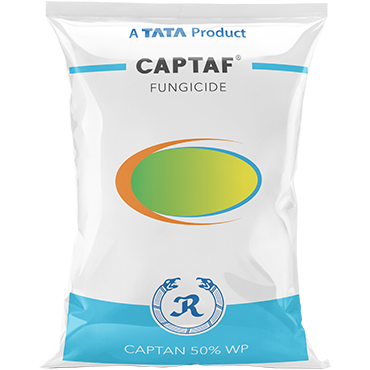 Captaf