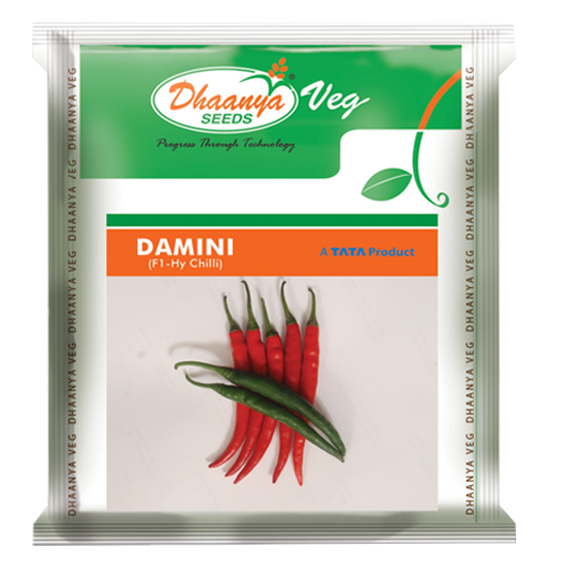 Damini