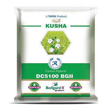 Kusha