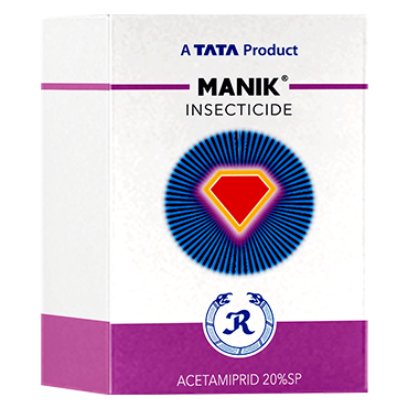 Manik
