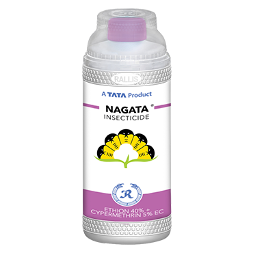 Nagata