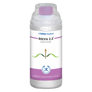 Reeva 2.5