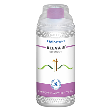 Reeva 5%EC