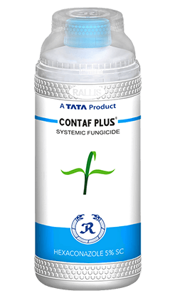 Tata Contaf Plus