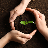 Crop Nutrition