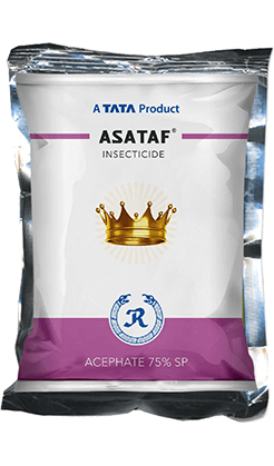 asataf