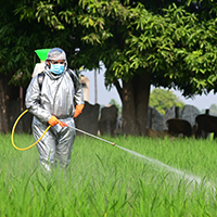  Crop Protection