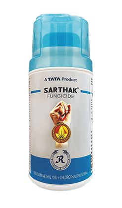 Sarthak